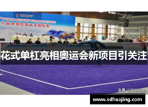 花式单杠亮相奥运会新项目引关注 花式单杠亮相奥运会新项目引关注